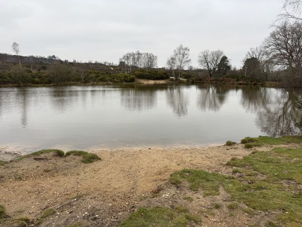 Caesar's Camp Long Bottom